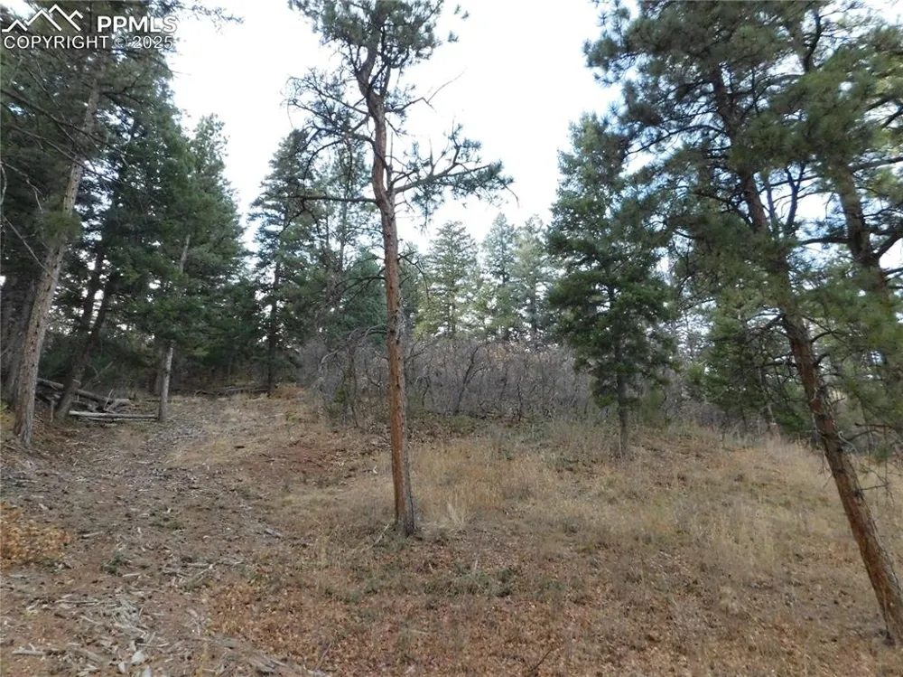 8055 Acoma Drive Larkspur, CO 80118