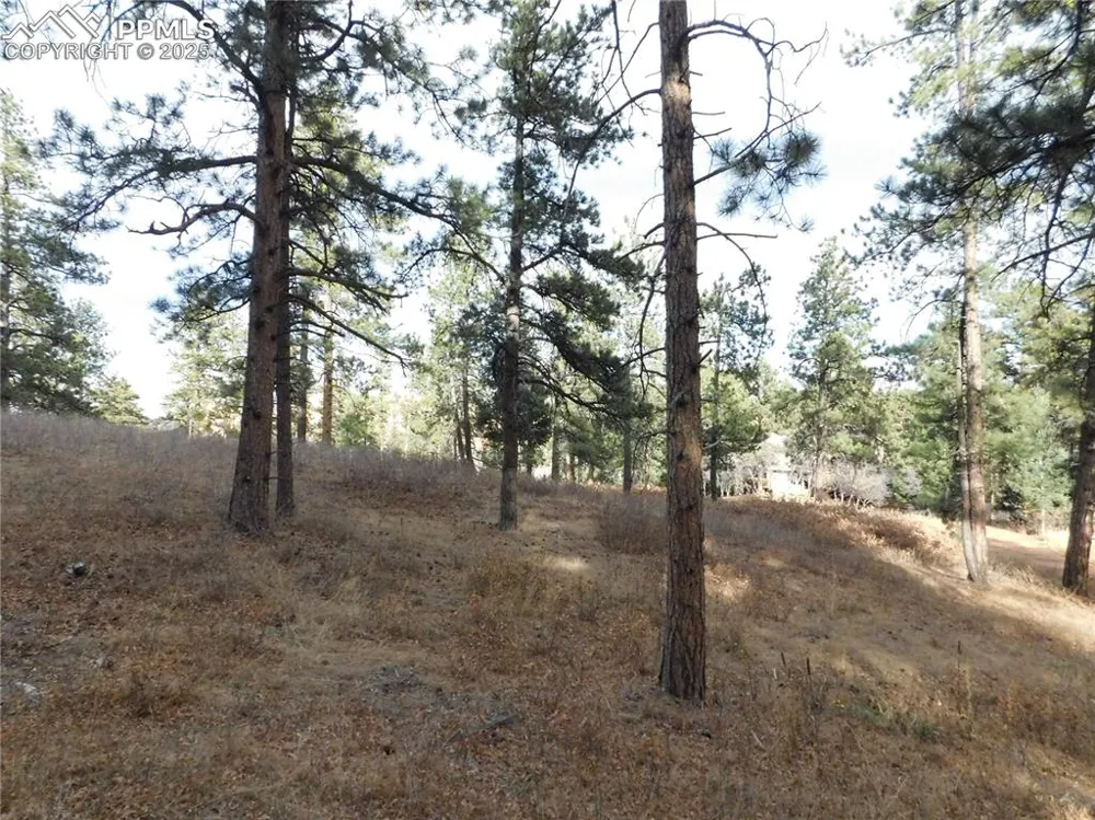 8055 Acoma Drive Larkspur, CO 80118
