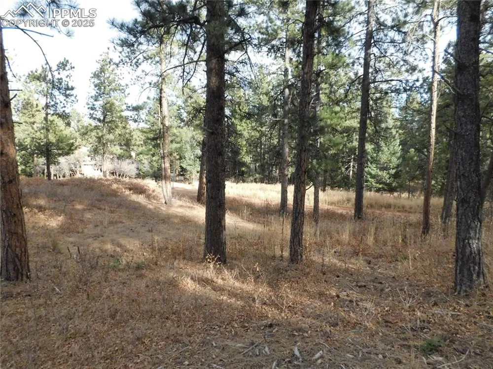 8055 Acoma Drive Larkspur, CO 80118
