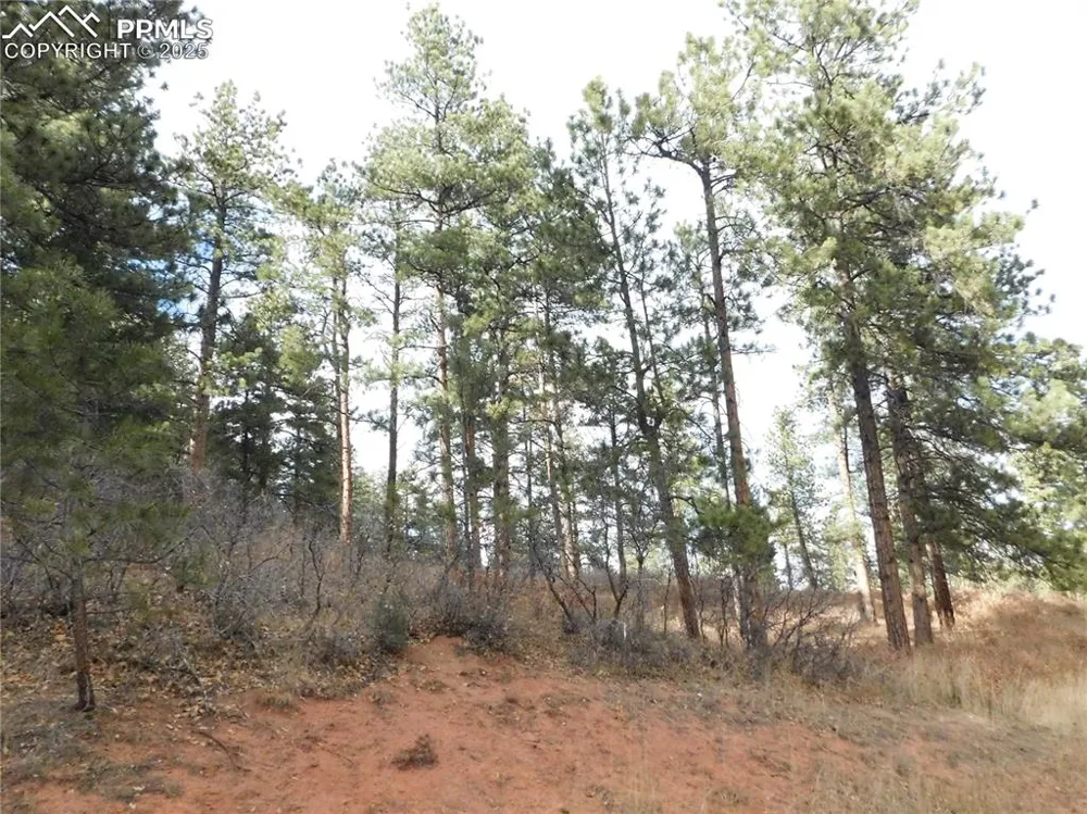 8055 Acoma Drive Larkspur, CO 80118