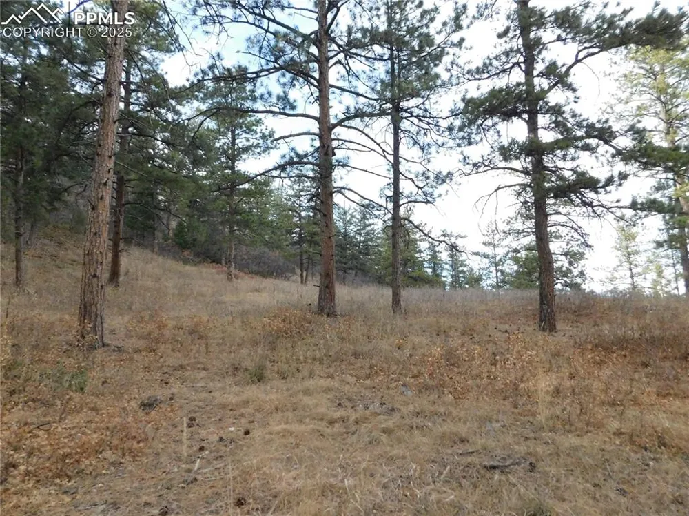 8055 Acoma Drive Larkspur, CO 80118