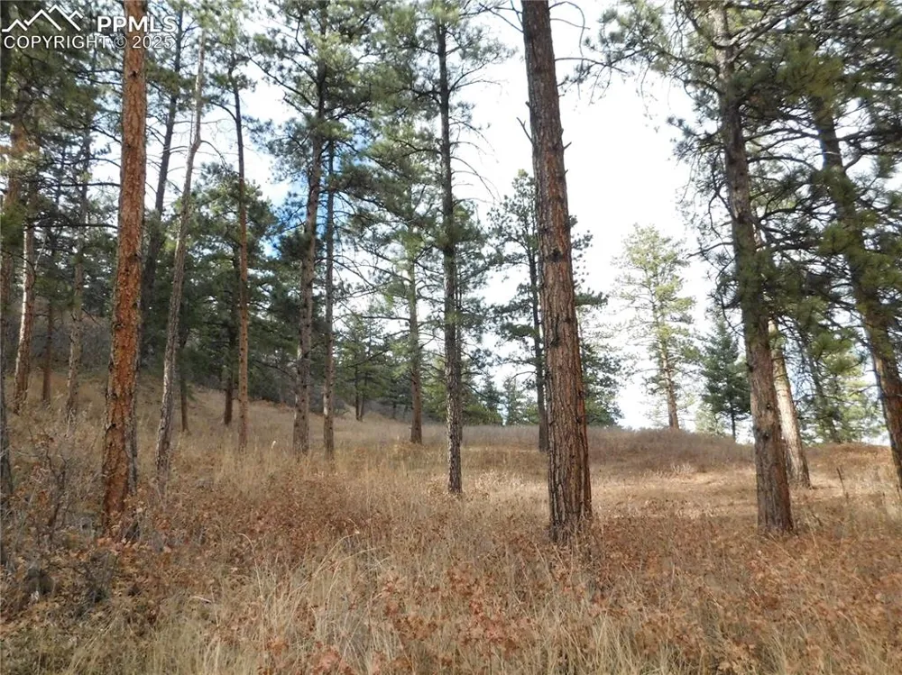 8055 Acoma Drive Larkspur, CO 80118