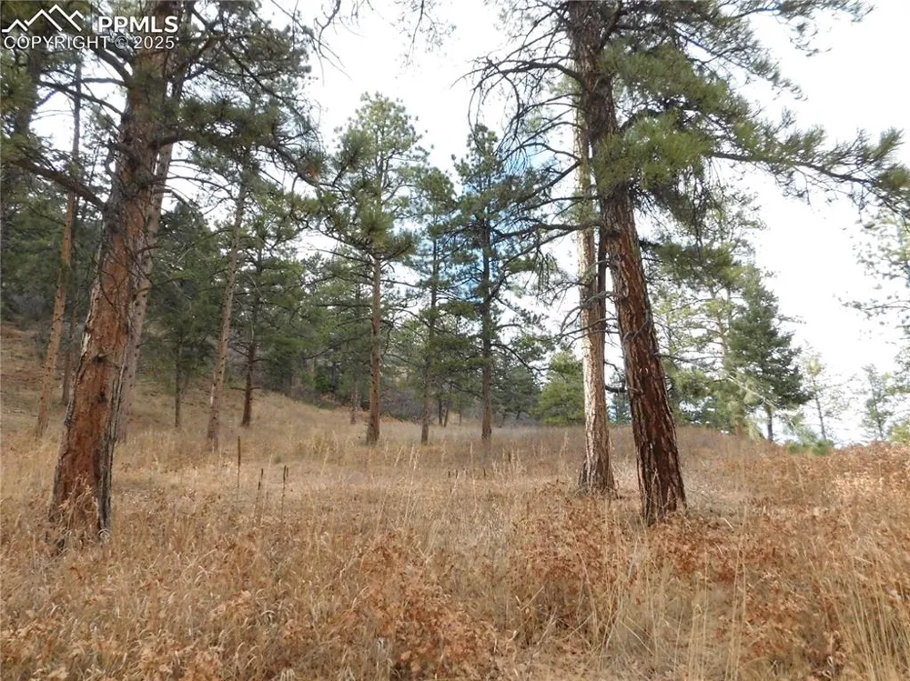 8055 Acoma Drive Larkspur, CO 80118