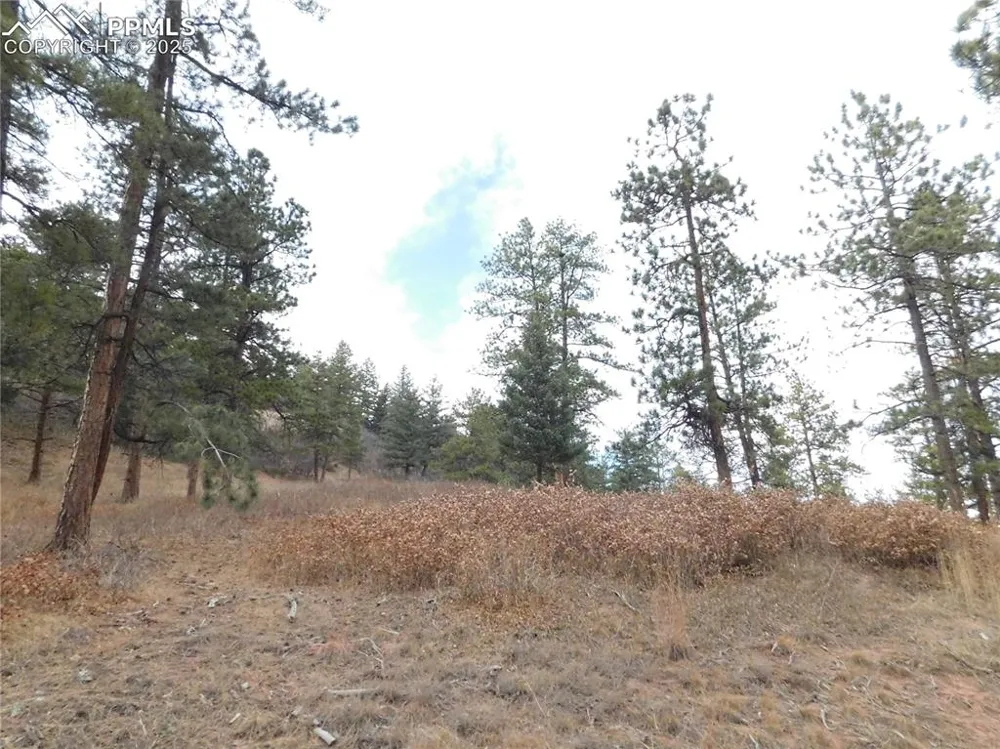 8055 Acoma Drive Larkspur, CO 80118