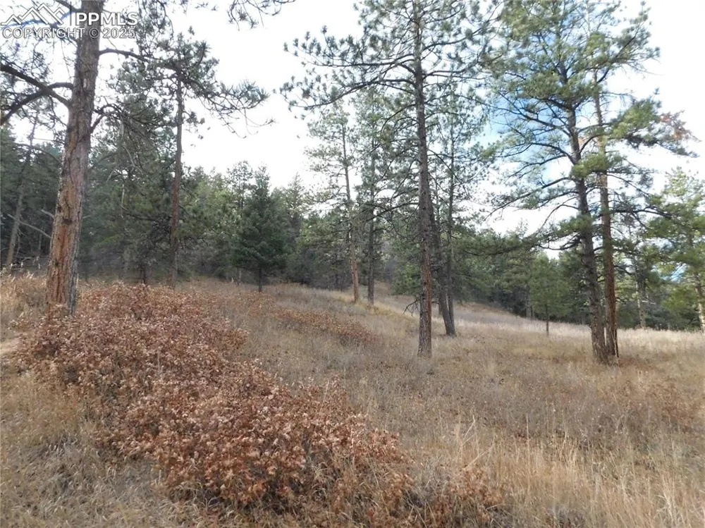 8055 Acoma Drive Larkspur, CO 80118