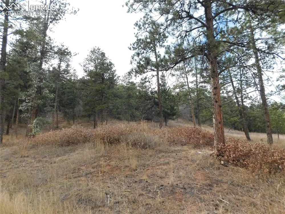8055 Acoma Drive Larkspur, CO 80118
