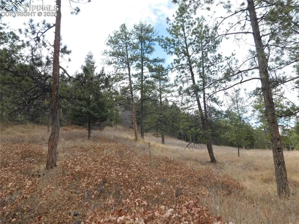 8055 Acoma Drive Larkspur, CO 80118