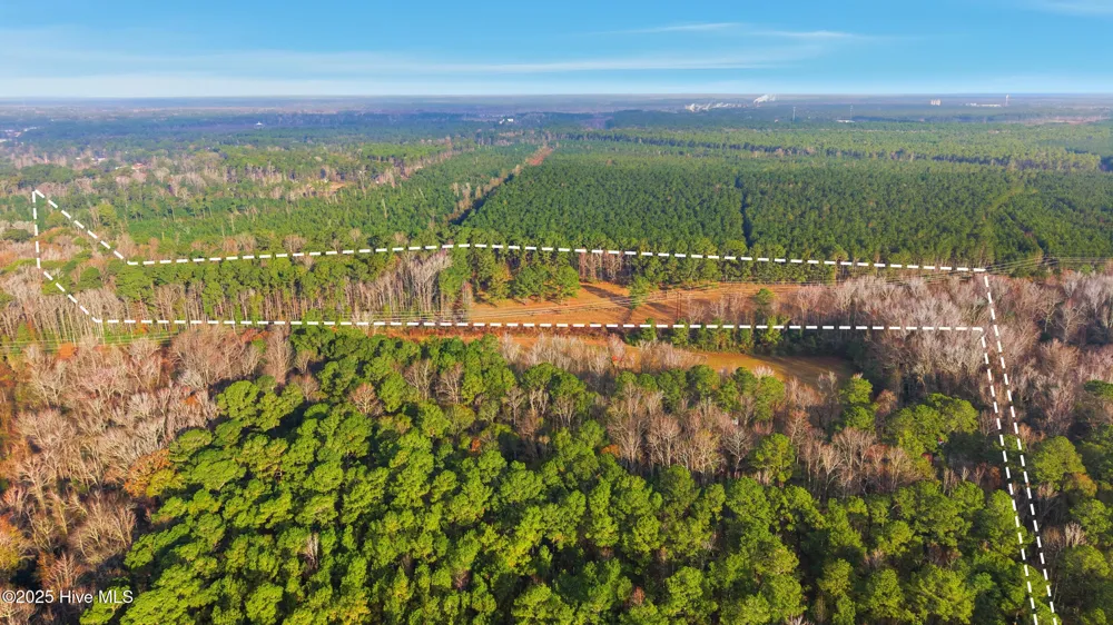 4360 Buck Drive Castle Hayne, NC 28429