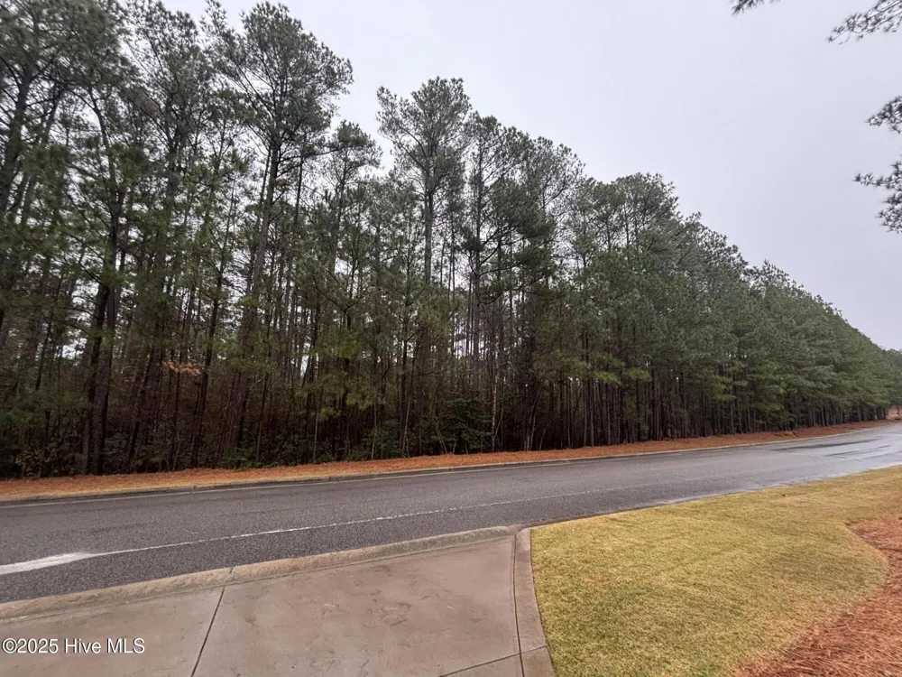 40 Chestertown Drive Pinehurst, NC 28374