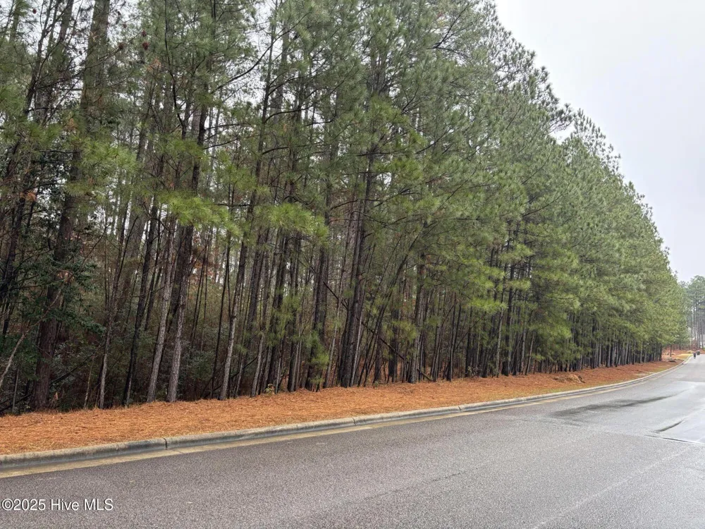 40 Chestertown Drive Pinehurst, NC 28374