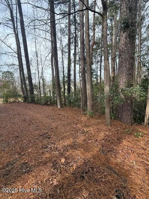 8 North Drive Rocky Point, NC 28457