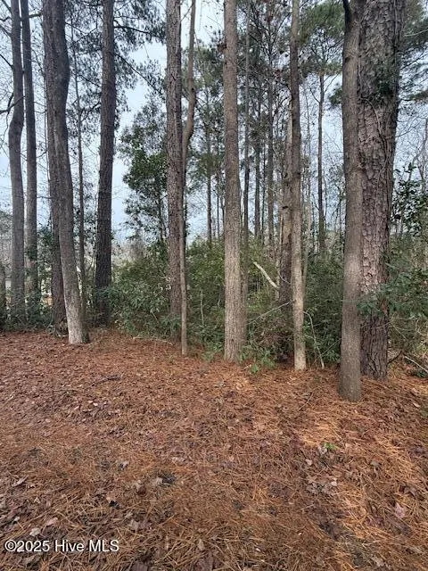 8 North Drive Rocky Point, NC 28457