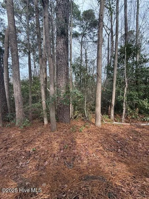8 North Drive Rocky Point, NC 28457