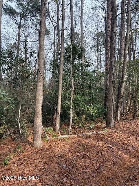 8 North Drive Rocky Point, NC 28457