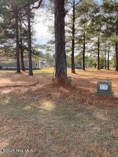 1012 Crosby Circle SW Sunset Beach, NC 28468