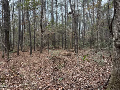 0 Near 715 Nc Hwy 133