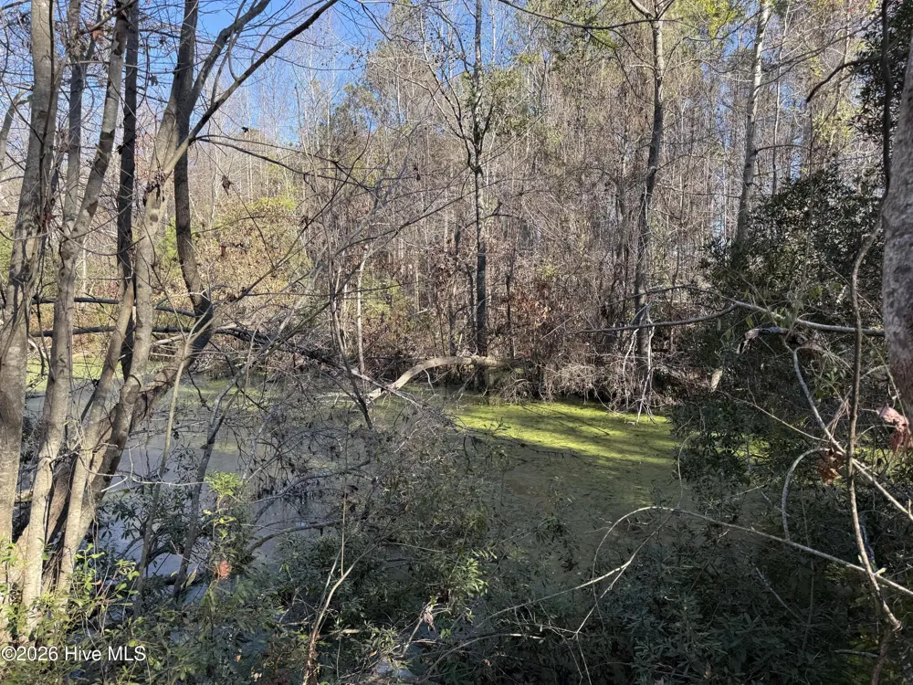 4758 Princess Ann Road Chadbourn, NC 28431