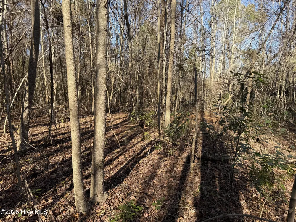 4758 Princess Ann Road Chadbourn, NC 28431