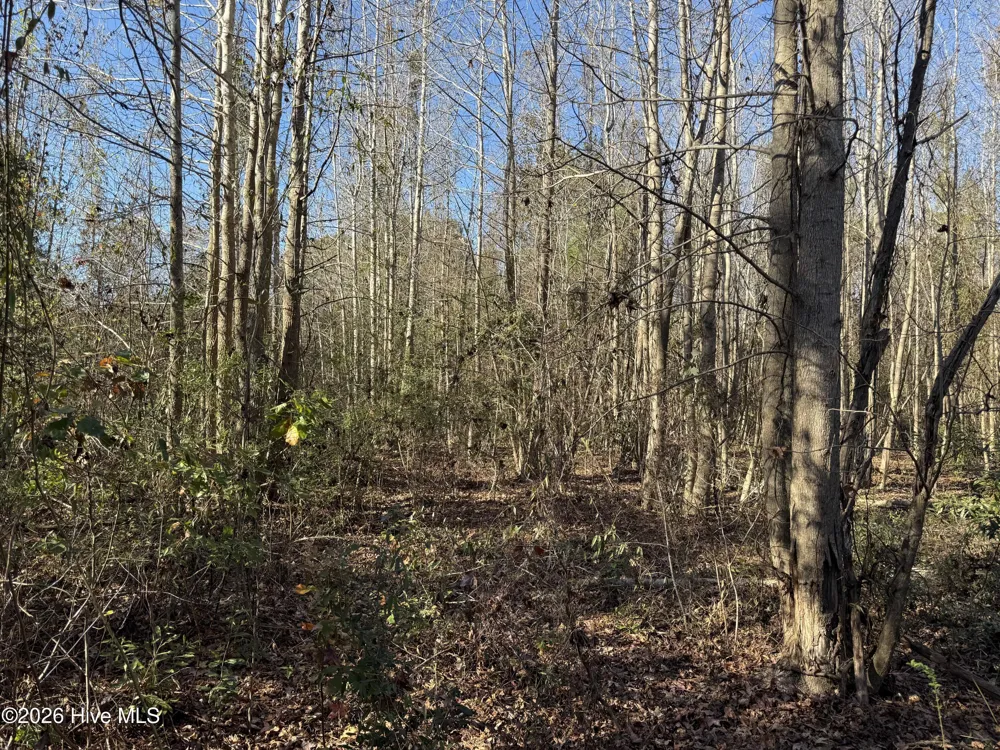 4758 Princess Ann Road Chadbourn, NC 28431