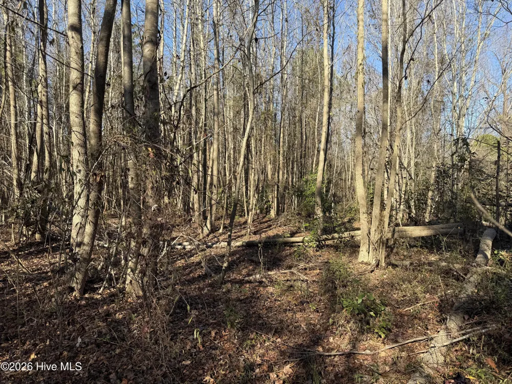 4758 Princess Ann Road Chadbourn, NC 28431