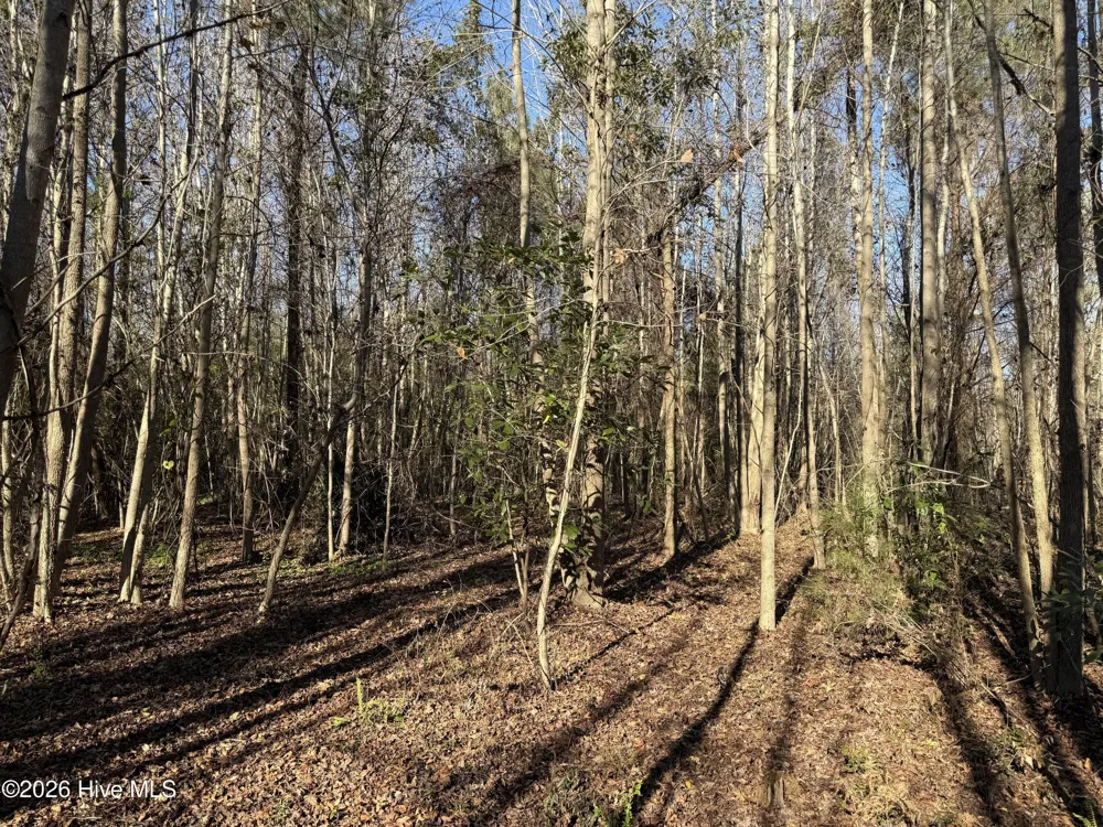 4758 Princess Ann Road Chadbourn, NC 28431