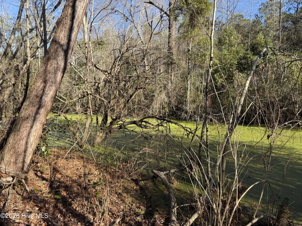 4758 Princess Ann Road Chadbourn, NC 28431