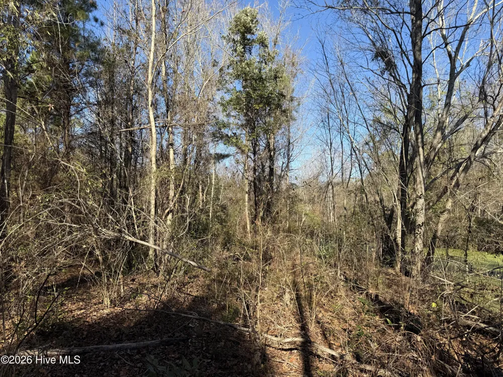4758 Princess Ann Road Chadbourn, NC 28431