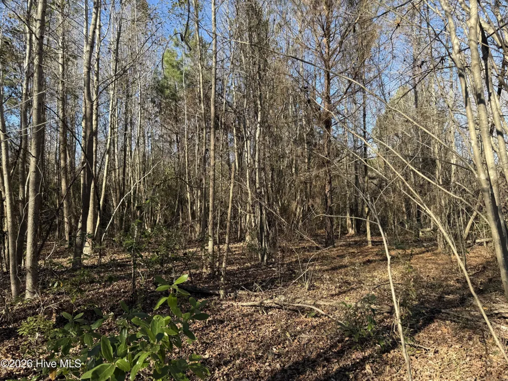 4758 Princess Ann Road Chadbourn, NC 28431