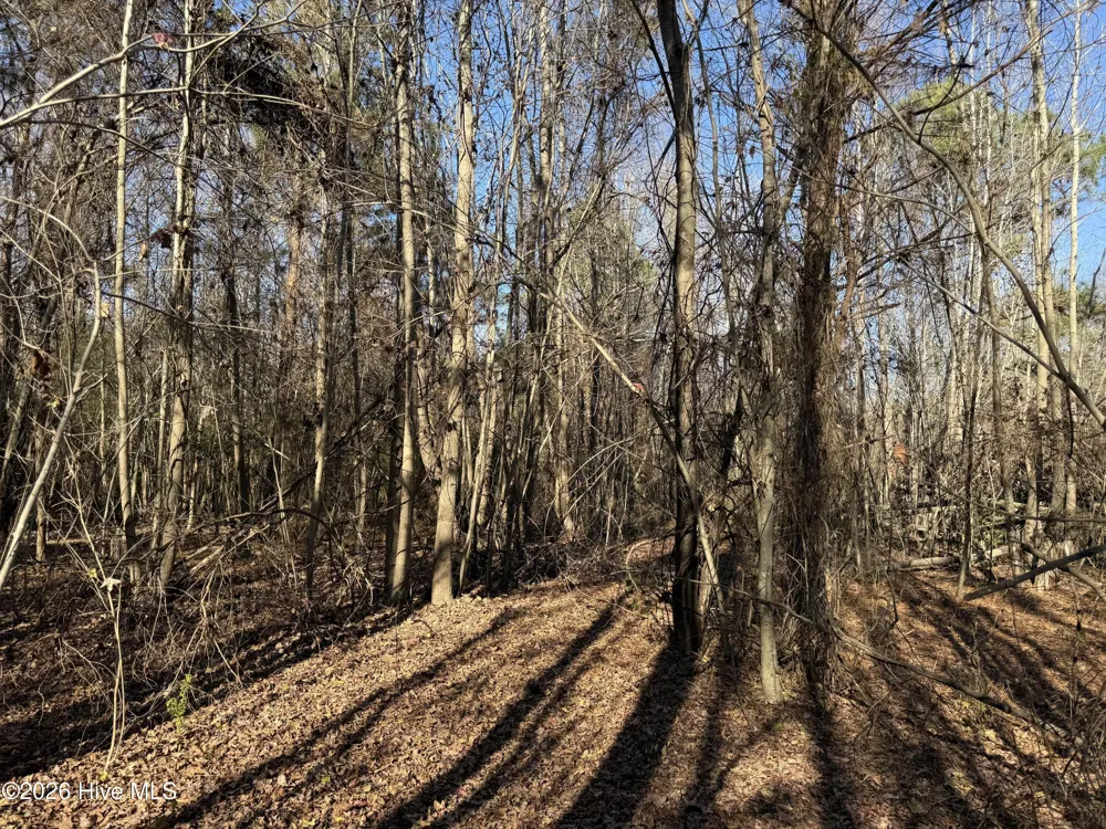4758 Princess Ann Road Chadbourn, NC 28431