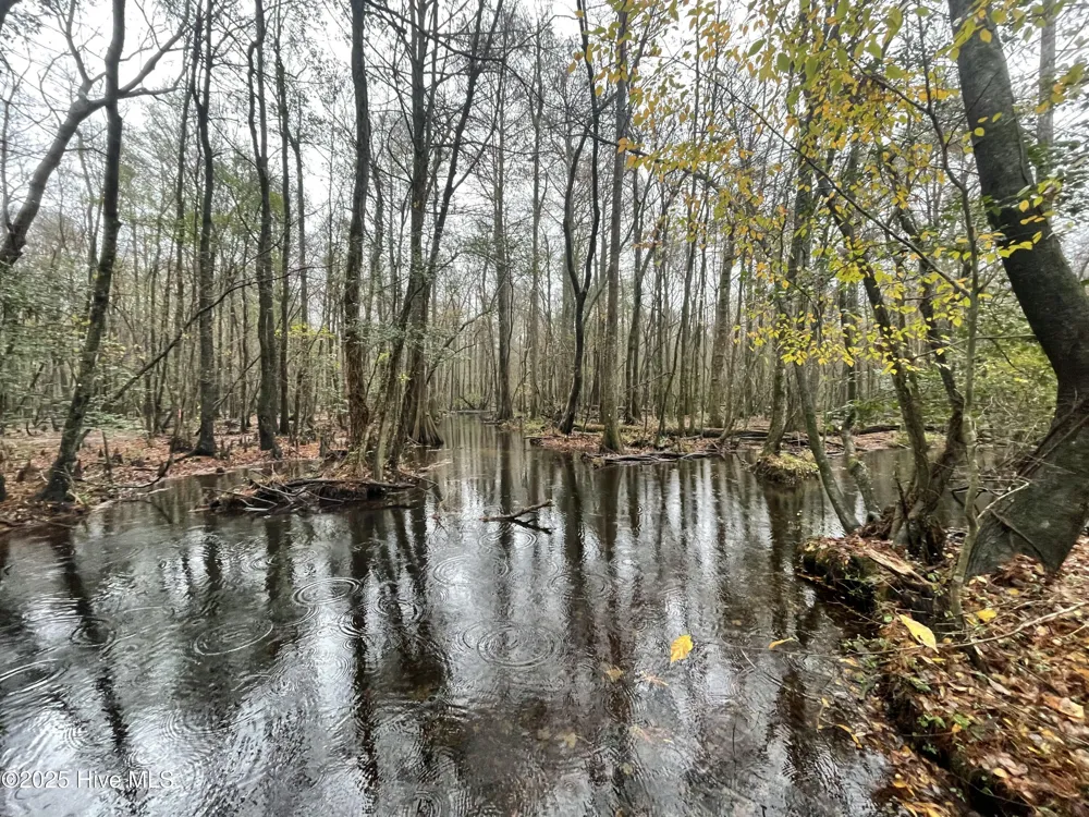 00 Gurman Powell Road Kenansville, NC 28349