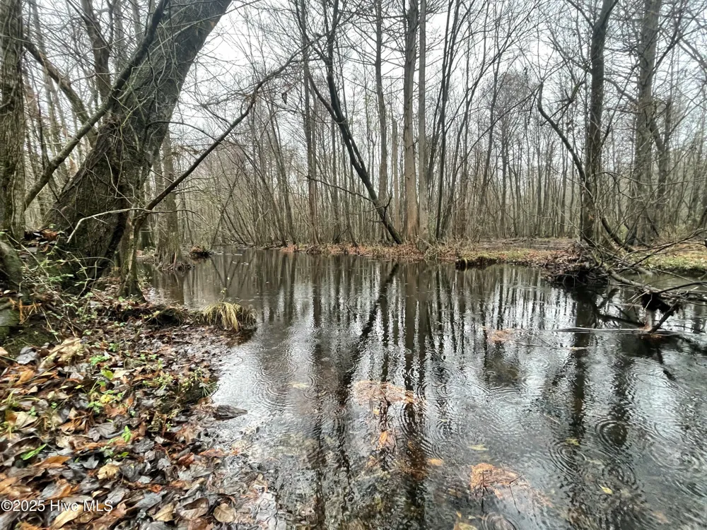 00 Gurman Powell Road Kenansville, NC 28349