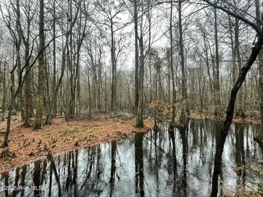 00 Gurman Powell Road Kenansville, NC 28349