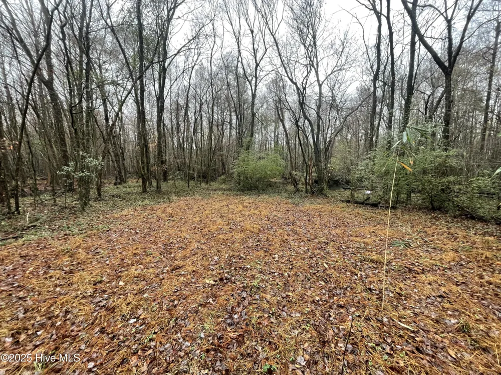 00 Gurman Powell Road Kenansville, NC 28349