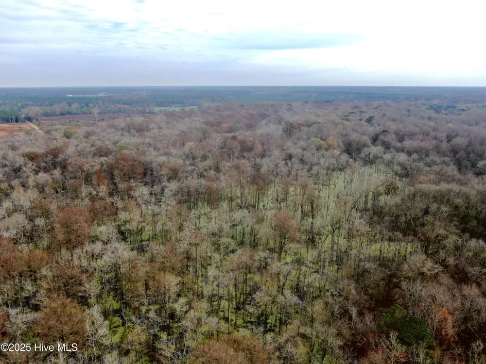 00 Gurman Powell Road Kenansville, NC 28349