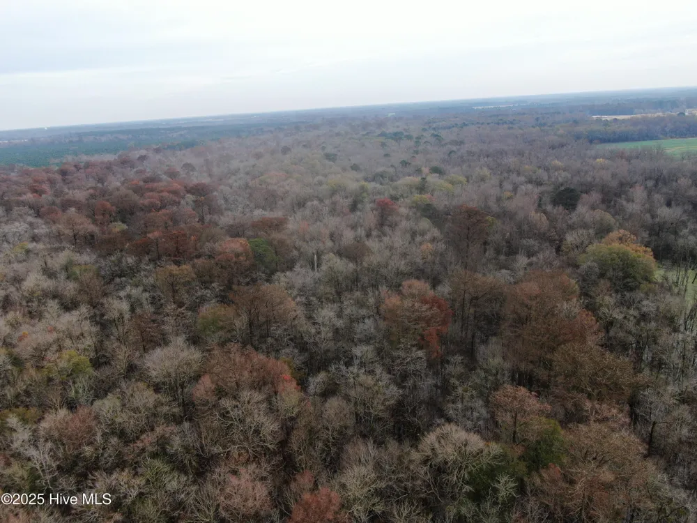00 Gurman Powell Road Kenansville, NC 28349