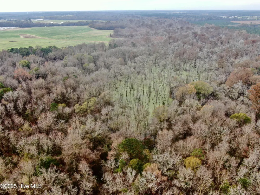 00 Gurman Powell Road Kenansville, NC 28349