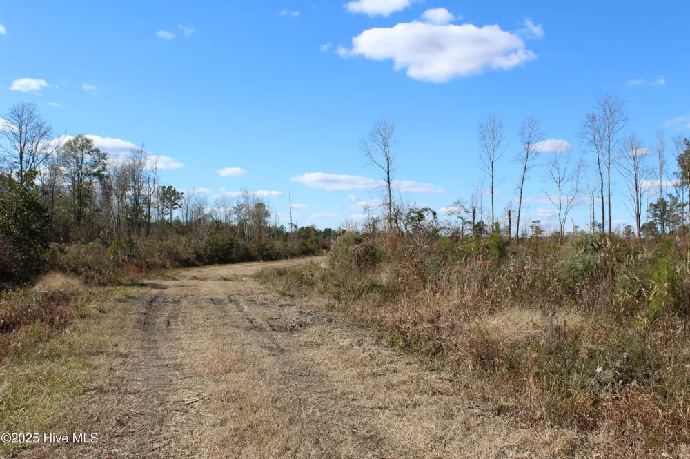 Lot 1 Richlands Road Trenton, NC 28585