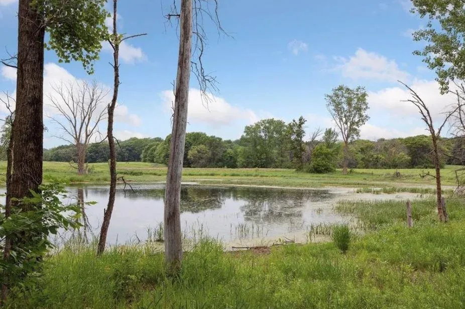 11454 Blazingstar Lane Lake Elmo, MN 55042