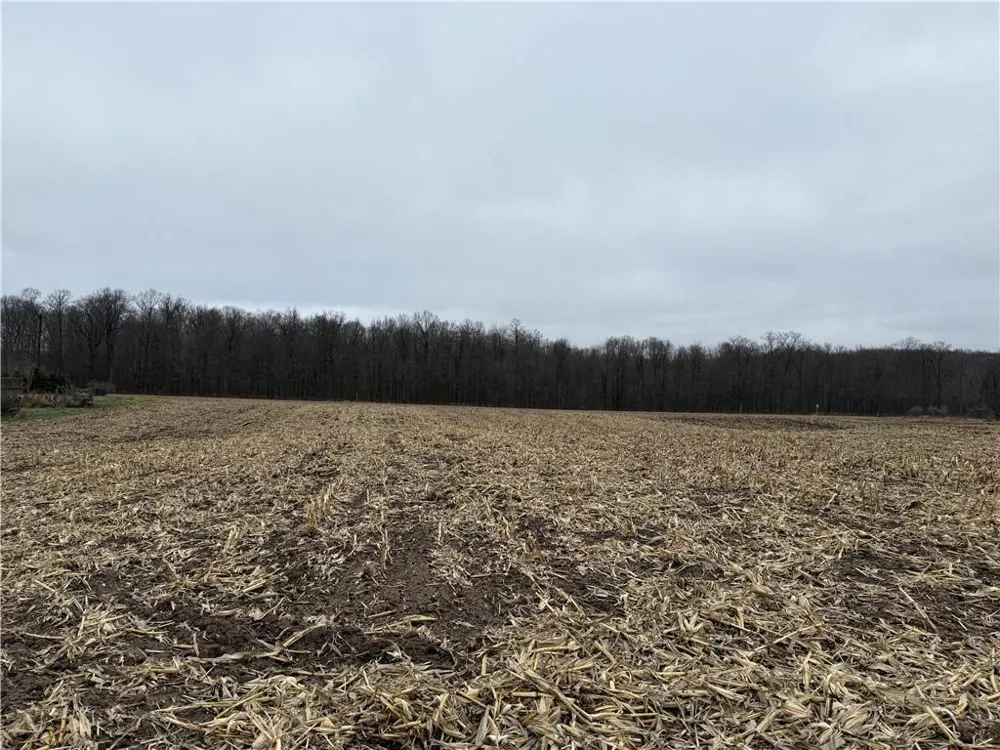 Lot 1 County Hwy D Sarona, WI 54870