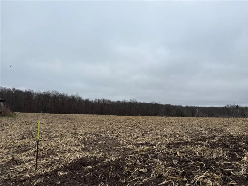 Lot 1 County Hwy D Sarona, WI 54870