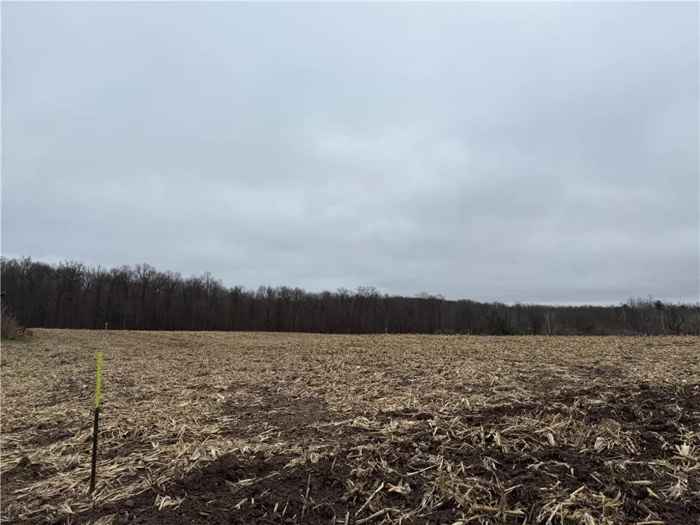 Lot 1 County Hwy D Sarona, WI 54870