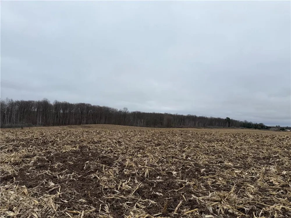 Lot 1 County Hwy D Sarona, WI 54870