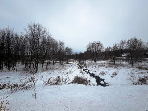 TBD Lands along 160th Ave & 315th St