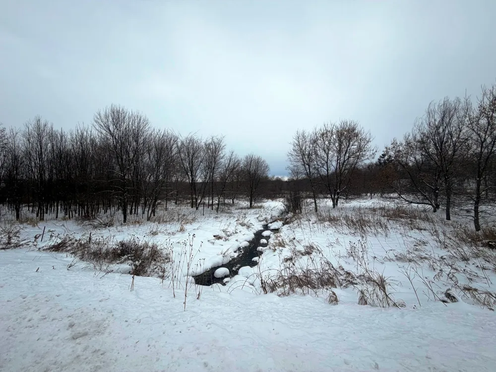 TBD Lands along 160th Ave & 315th St Glenwood City, WI 54013