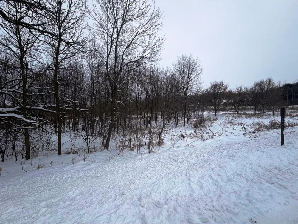 TBD Lands along 160th Ave & 315th St Glenwood City, WI 54013