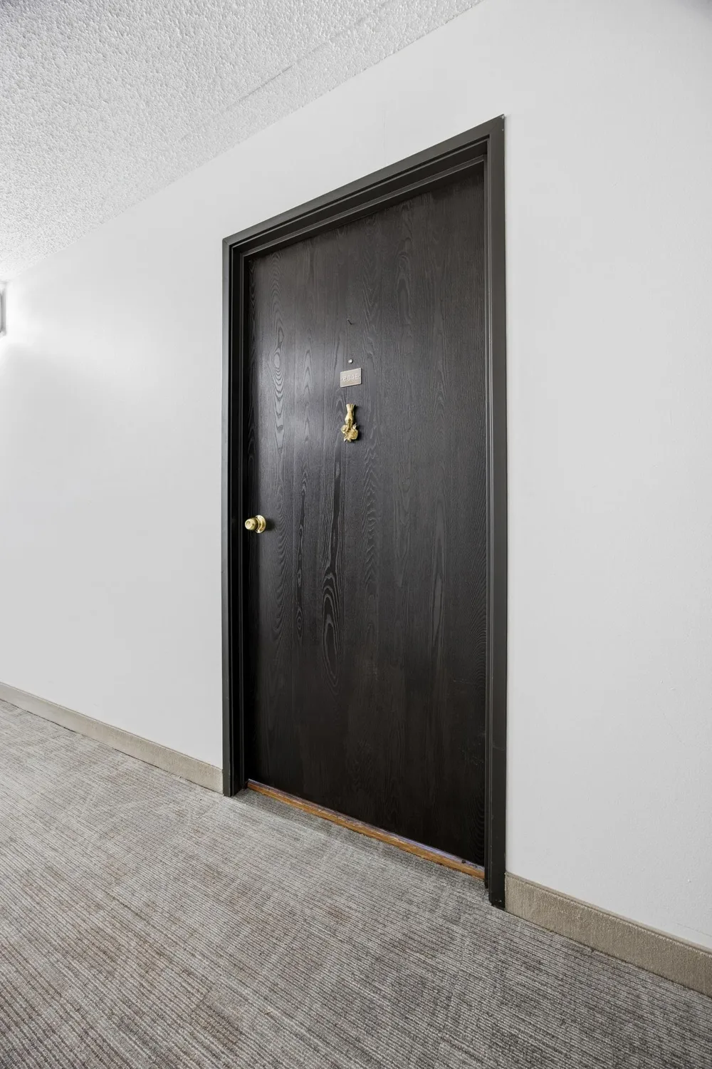1110 3rd Avenue #604E Fargo, ND 58102