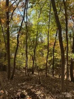 300 Rivercliff Drive Stony Point, NC 28678