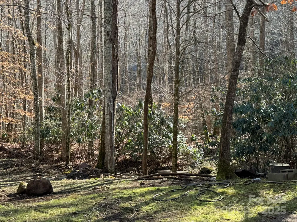 80 Larkspur Lane Cullowhee, NC 28723