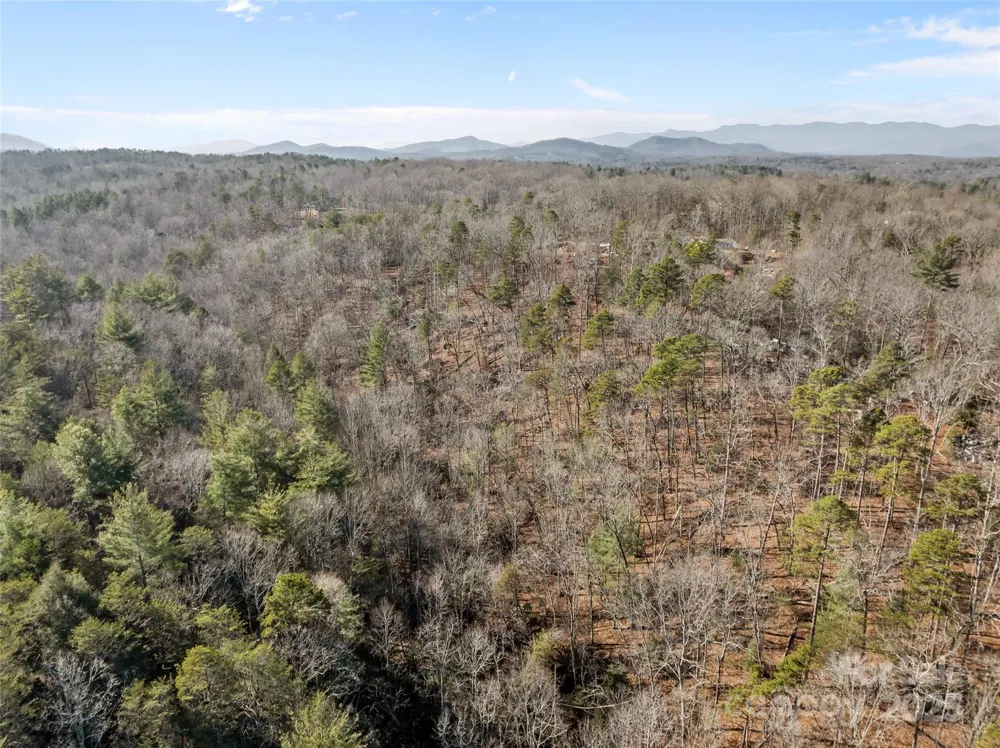 0 Darrow Drive #Lot 97 Nebo, NC 28761