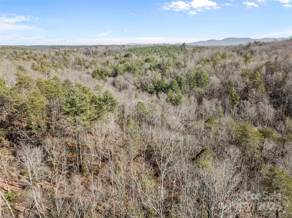 0 Darrow Drive #Lot 97 Nebo, NC 28761